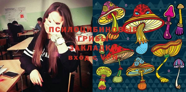 СК Осинники